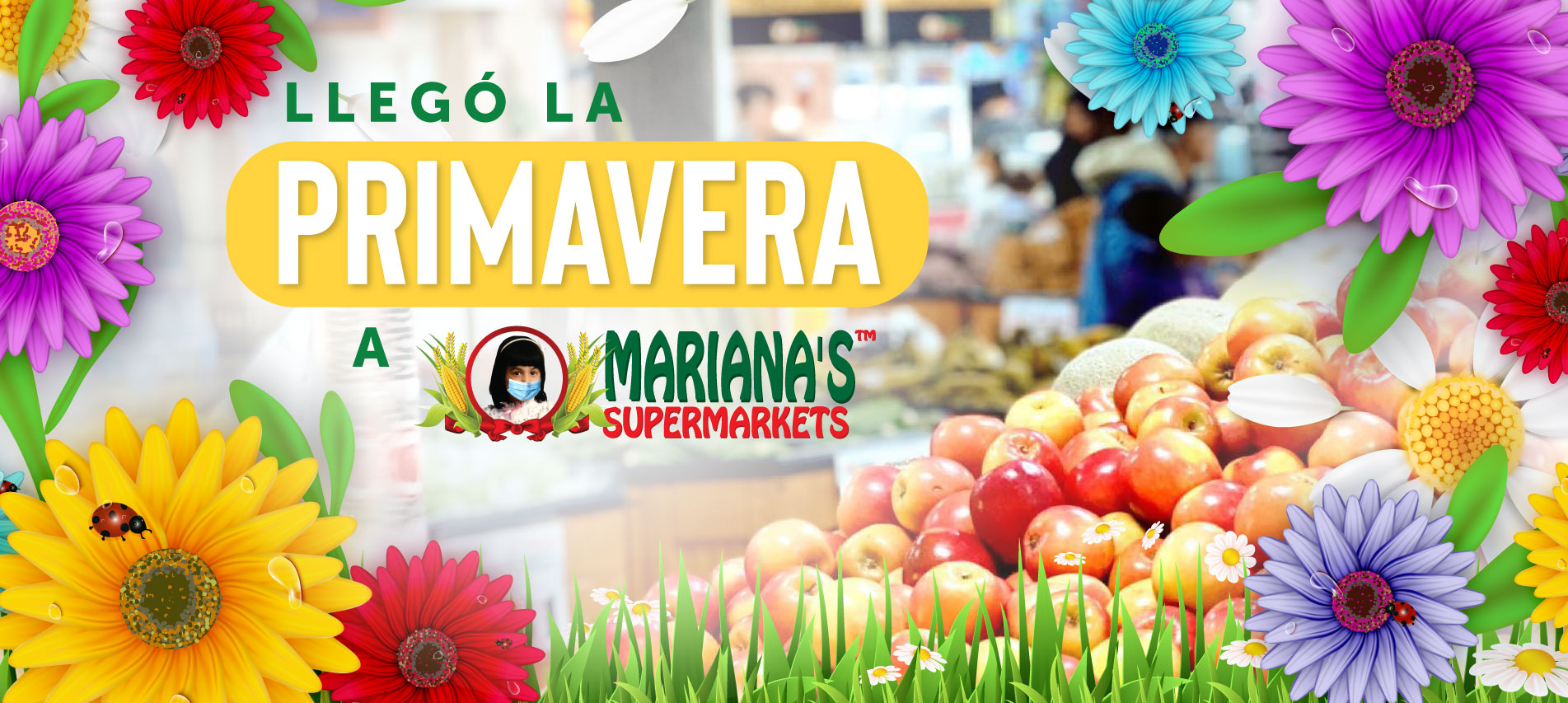 Mariana's Supermarkets